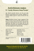 Leijonankita F1 'Candy Showers Deep Purple'