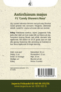 Leijonankita F1 'Candy Showers Rose', Loistavan vadelman vaaleanpunaisissa kukissa on keltainen nielu.