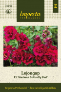 Leijonankita F1 'Madame Butterfly Red', Korkea. Upea Leijonankita, jossa on suuret.