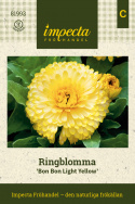 Tarhakehäkukka 'Bon Bon Light Yellow', Kirkkaan auringonkeltaiset kukat, joissa on hienovarainen viininpunainen sävy.