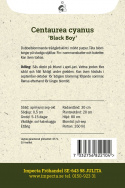 Ruiskaunokki 'Black Boy', Kerrottu, tumman violetti ruiskaunokki.