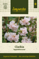 Komeasilkkikukka 'Appleblossom', Pehmeän omenankukan vaaleanpunaisen ja kermanvalkoisen väriset kerrannaiskukat pitkillä, tukevilla varsilla. 