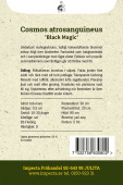 Suklaakosmos 'Black Magic'