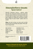 Keltasääkukka 'Queen Salmon'