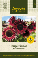 Puna-auringonkukka F1 'Desire Red', n. 12-15 cm kukat, joissa ohut, kermankeltainen rengas tumman keskustan ympärillä.