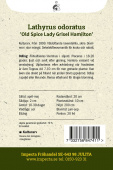 Tuoksuherne 'Old Spice Lady Grisel Hamilton'