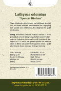 Tuoksuherne 'Spencer Nimbus', Suurikukkainen tuoksuherne, jonka kukat ovat läpikuultavat.