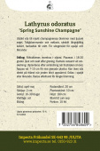 Tuoksuherne 'Spring Sunshine Champagne'