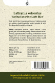 Tuoksuherne 'Spring Sunshine Light Blue'