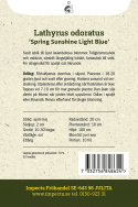 Tuoksuherne 'Spring Sunshine Light Blue', Viileän jääsiniset ja vaalean laventelinpunaiset kukat.