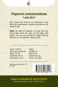 Turkinunikko 'Lady Bird'