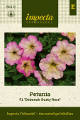 Petunia F1 'Debonair Dusty Rose'