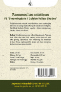 Jaloleinikki F1 'Bloomingdale II Golden Yellow Shades', Varhain keväällä kukkiva, lämpimän oranssinkeltaiset kukat tukevassa varressa.