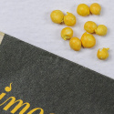 Jaloleinikki F1 'Bloomingdale II Golden Yellow Shades', Varhain keväällä kukkiva, lämpimän oranssinkeltaiset kukat tukevassa varressa.