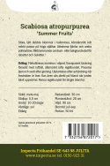 Koreatörmäkukka 'Summer Fruits', Hyvältä tuoksuvat, vadelman vaaleanpunaiset, kirsikanpunaiset ja tummanvioletit kukat.