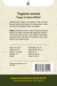 Isosamettikukka 'Sugar & Spice White'