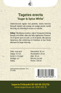 Isosamettikukka 'Sugar & Spice White', matala, yhtenäinen pensas, jossa on suuret, kermanvalkoiset kerrotut kukat.