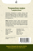 Pensasköynnöskrassi 'Ladybird Rose'