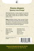 Isotsinnia 'Queeny Lime Orange'