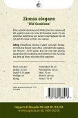 Isotsinnia 'Old Scabiosa'