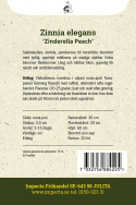 Tsinnia 'Zinderella Peach', persikanvaaleanpunaiset tai korallinpunaiset kukat, joissa on selkeä, kohotettu keskikruunu.