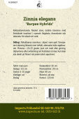 Isotsinnia 'Burpee Hybrids'