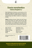 Loistotsinnia 'Zahara Raspberry'