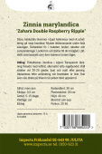 Loistotsinnia 'Zahara Double Raspberry Ripple'