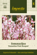 Sirokesäkynttilä 'Emmeline Pink Bouquet', Pitsimäiset, 2-3 cm:n pituiset, hennot, kirsikanvaaleanpunaiset ja omenankukan väriset kukat.