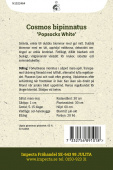 Punakosmoskukka 'Popsocks White'
