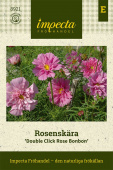Punakosmoskukka 'Double Click Rose Bonbon'