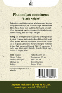 Ruusupapu 'Black Knight', Koristeellinen ja nopeasti kasvava. Vahvat purppuranmustat palot, joissa vaaleanpunaisia papuja.