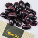 Ruusupapu 'Black Knight', Koristeellinen ja nopeasti kasvava. Vahvat purppuranmustat palot, joissa vaaleanpunaisia papuja.