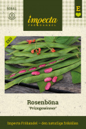 Ruusupapu ''Prizegewinner'', Punakukkainen, erittäin pitkät, täyteläiset palot.