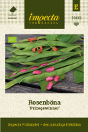 Ruusupapu ''Prizegewinner'', Punakukkainen, erittäin pitkät, täyteläiset palot.