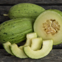 Talvimeloni 'Piñonet Piel de Sapo', Soikeat, uurteiset, hieman karkeat hedelmät noin 1-2 kg.