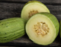 Talvimeloni 'Piñonet Piel de Sapo', Soikeat, uurteiset, hieman karkeat hedelmät noin 1-2 kg.