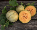 Cantaloupemeloni 'Petit Gris de Rennes', Rennesistä peräisin oleva ranskalainen herkkumeloni, jonka nimi tarkoittaa ”pientä harmaata”.