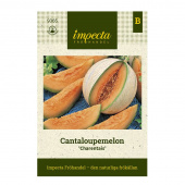 Cantaloupemeloni 'Charentais'