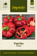 Paprika 'Loran', Kauniit, litteänpyöreät ja uurteiset hedelmät. Kypsyy vihreänviolettisesta syvänpunaiseen.
