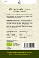Salaattisikuri ''Grumola Verde'', Pitkät, kapeat lehdet. Ne sopivat erinomaisest