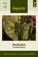 Sidesalaatti ''Forellenschluss'', rapea ja jauhomainen ydin. 