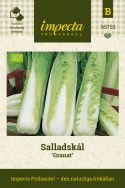 Kiinankaali 'Granat', Rapeat, vaaleanvihreät lehdet, joissa on hieno rakenne ja tuoksu, erinomaiset höyrytykseen ja wokiin.