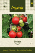 Tomaatti 'Maja'