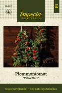 Luumutomaatti 'Patio Plum',  Täysin ainutlaatuinen pensastomaatti, jolla on pylväsmäinen kasvutapa.