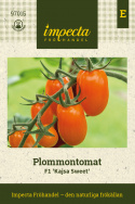 Luumutomaatti F1 'Kajsa Sweet', satoisat tertut, joissa kauniin kiiltäviä, oranssinkeltaisia ​​noin 20 gramman tomaatteja.