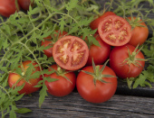 Tomaatti 'Silbertanne'