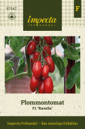 Luumutomaatti F1 'Ravello', Tiheissä tertuissa kirkkaanpunaisia, soikeita n. 20 gramman  tomaatteja.