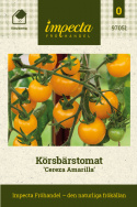 Kirsikkatomaatti 'Cereza Amarilla', pyöreät, noin 15-20 gramman painoiset hedelmät, joissa makeus ja happamuus ovat erinomaisessa tasapainossa.