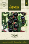 Tomaatti 'Blackball'